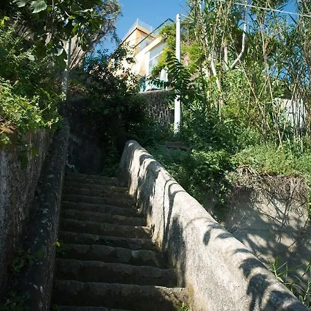 Frühstückspension Punta Lingua Relais - 2 Sunset Terrace Procida